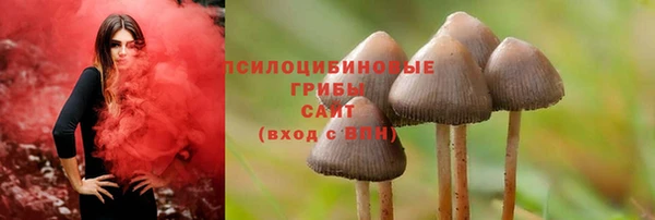ешки Абдулино